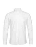 Greenwich Reiss White