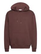 Crew Hoodie Les Deux Brown