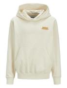 Jorroxbury Back Sweat Hood Ln Jnr Jack & J S Cream