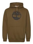 Kennebec River Tree Logo Hoodie Dark Olive Timberland Brown