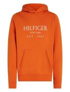 Big Hilfiger Hoody Tommy Hilfiger Orange