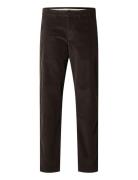 Slh196-Straight Miles Cord Pants W Noos Selected Homme Brown