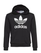 Trefoil Hoodie Adidas Originals Black