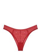 Delightful Spotlight Brazilian Triumph Red