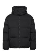 Down Jacket Emporio Armani Black