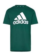 U Bl Tee Adidas Sportswear Green