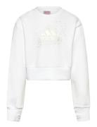 Jg Glm Crew Adidas Sportswear White