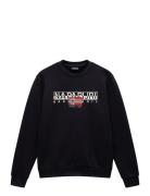 Aylmer Winter Sweatshirt Napapijri Black