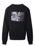 Crew Neck W/Print Hound Black