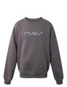 Crew Neck W/Print Hound Grey