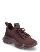 Maxilla-R-E Sneaker Steve Madden Burgundy