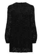 Dablon Lace Black Mini Dress ALOHAS Black