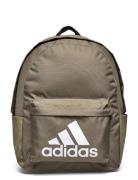 Clsc Bos Bp Adidas Performance Khaki