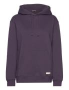 Centre Hoodie Björn Borg Purple