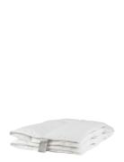 Lixra Sølv Moskusdyne, Let Lixra White