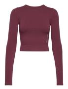 Onproob Ls Crop Seam Top Only Play Burgundy