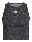 Anml Cro Tk Adidas Sportswear Grey