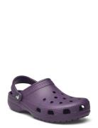 Classic Crocs Purple