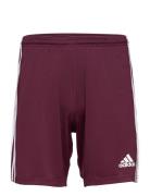 Squadra 21 Short Adidas Performance Red