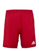 Squadra 21 Short Adidas Performance Red