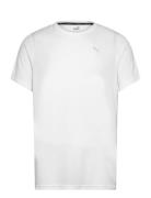 Performance Ss Tee M PUMA White