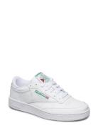 Club C 85 Reebok Classics White