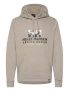 Arctic Ocean Hoodie Helly Hansen Beige