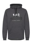 Arctic Ocean Hoodie Helly Hansen Grey