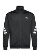 3-Stripe Knitted Jacket Adidas Performance Black