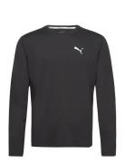 Run Cloudspun Ls Tee PUMA Black