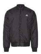 Brand Lov Bom J Adidas Sportswear Black