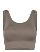 Soft Rib Seamless Crop Top Moonchild Yoga Wear Brown