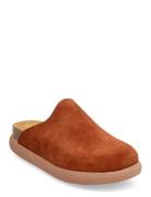 Sl Ivy Suede Cognac Scholl Brown