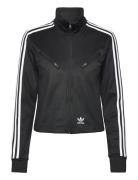 Montreal Tt Adidas Originals Black