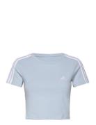 W 3S Baby T Adidas Sportswear Blue