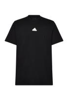 Bl Sj T Q1 Adidas Sportswear Black