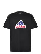 M Fi Bos T Oly Adidas Sportswear Black