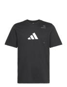 Padel Graphic Tee Adidas Performance Black