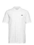 U365T Pknt Polo Adidas Golf White