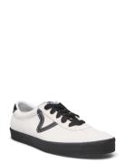 Sport Low VANS White