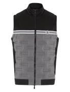 Quilted Mixed Dmedia 80´S´block Vest Original Penguin Golf Black