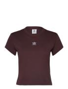 Ess Slim Tee Adidas Originals Brown