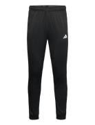 Adidas Train Essentials Camo Training Pant Adidas Performance Black