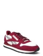 Classic Leather Reebok Classics Burgundy