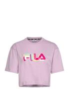 Beuna Cropped Graphic Tee FILA Pink