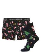 Jachohoho Giftbox Jnr Jack & J S Black