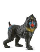 Schleich Mandrill Schleich Patterned