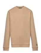 Script Crew Neck Sweatshirt Lyle & Scott Beige