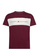 Ss T-Shirt Block Logo Tommy Hilfiger Burgundy