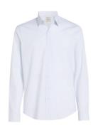 Poplin Stripe Slim Shirt Calvin Klein White